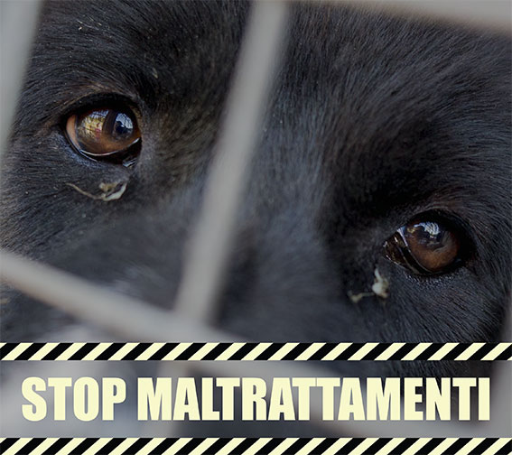 Stop maltrattamenti
