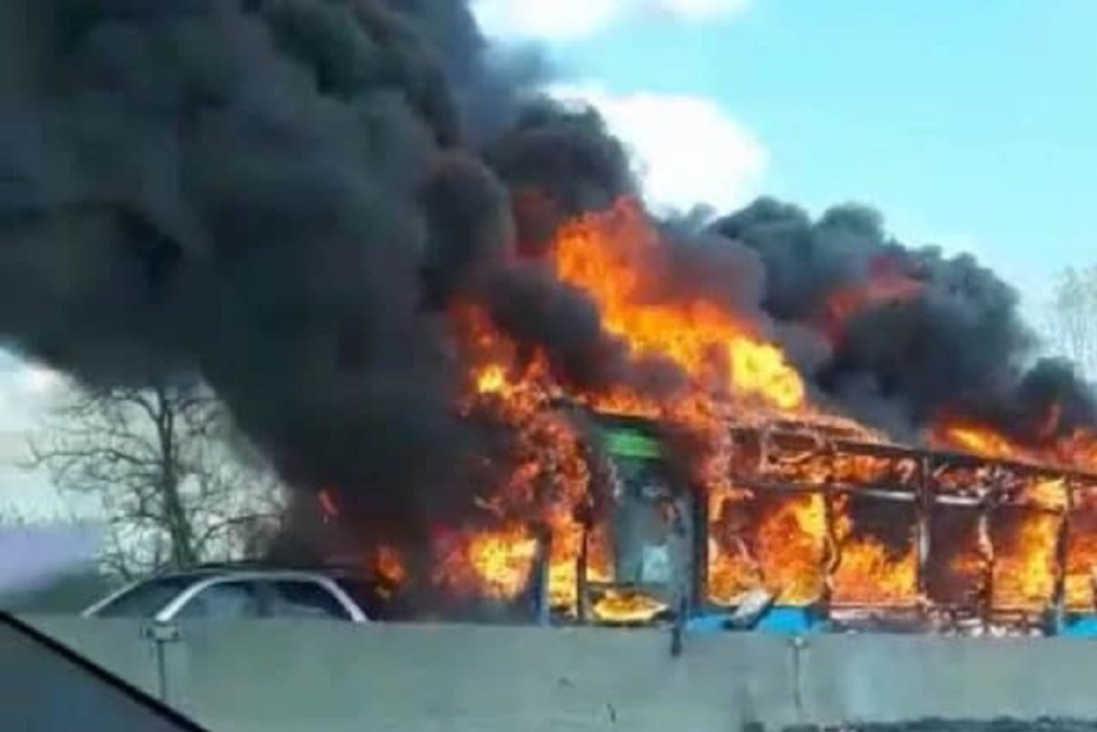 Terrore bus, Maullu(FdI): 